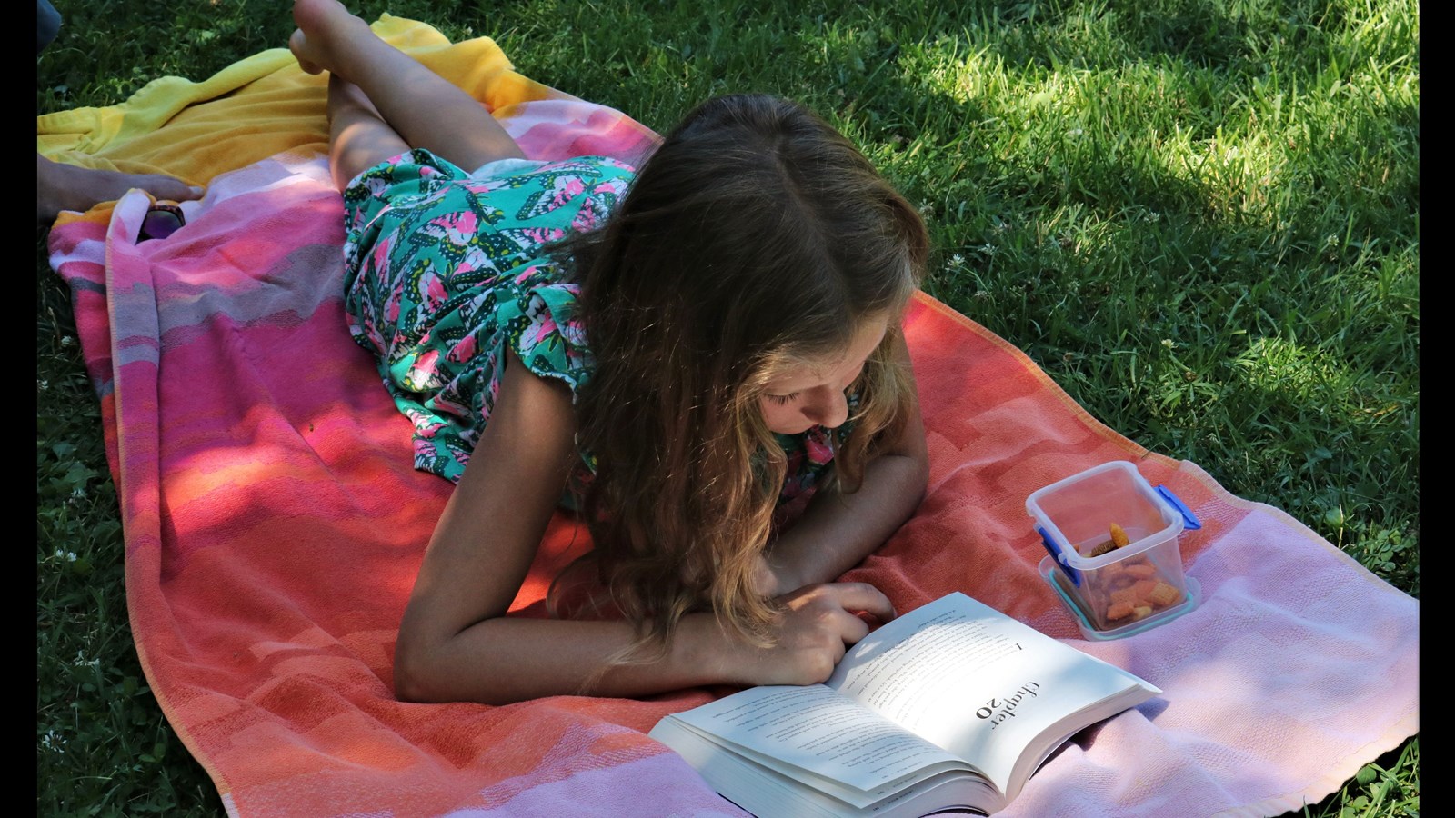 Girl on grass reading